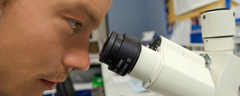 Cómo el mundo ha logrado enfrentarse al coronavirus