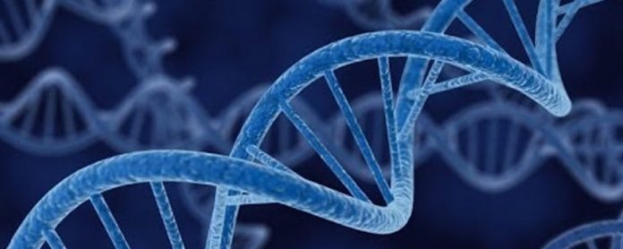 ¿Existe relación entre genética y Covid-19?