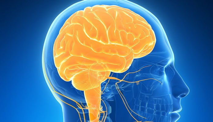 COVID-19 puede causar graves daños cerebrales